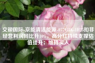 交银国际-京能清洁能源-0579.HK-1H25扣非经营利润同比升10%,高分红持续支撑估值提升;维持买入 交银国际-京能清洁能源-0579.HK-1H25扣非经营利润同比升10%,高分红持续支撑估值提升;维持买入