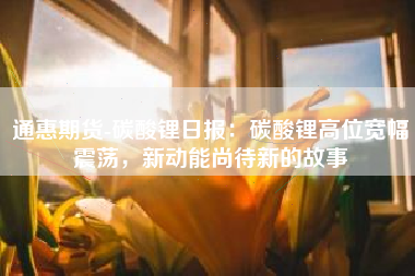通惠期货-碳酸锂日报：碳酸锂高位宽幅震荡，新动能尚待新的故事