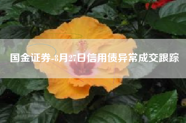 国金证券-8月27日信用债异常成交跟踪