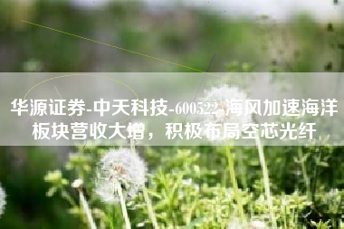 华源证券-中天科技-600522-海风加速海洋板块营收大增，积极布局空芯光纤