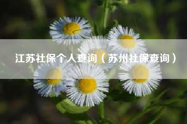 江苏社保个人查询（苏州社保查询）