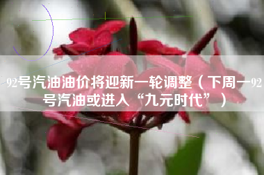 92号汽油油价将迎新一轮调整（下周一92号汽油或进入“九元时代”）