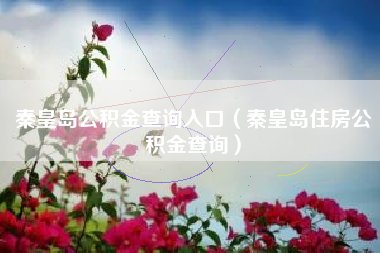 秦皇岛公积金查询入口（秦皇岛住房公积金查询）