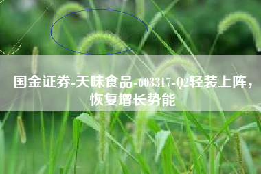 国金证券-天味食品-603317-Q2轻装上阵，恢复增长势能