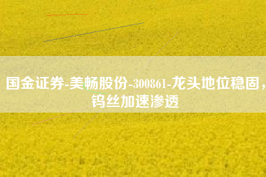 国金证券-美畅股份-300861-龙头地位稳固，钨丝加速渗透