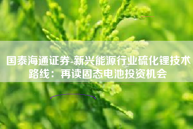 国泰海通证券-新兴能源行业硫化锂技术路线：再读固态电池投资机会
