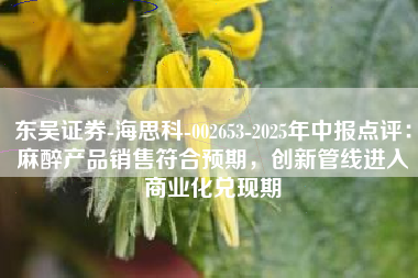 东吴证券-海思科-002653-2025年中报点评：麻醉产品销售符合预期，创新管线进入商业化兑现期