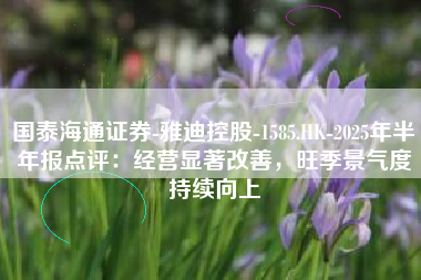 国泰海通证券-雅迪控股-1585.HK-2025年半年报点评：经营显著改善，旺季景气度持续向上