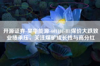 开源证券-昊华能源-601101-H1煤价大跌致业绩承压，关注煤矿成长性与高分红