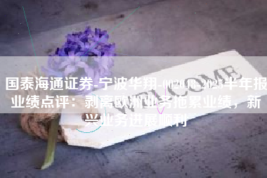 国泰海通证券-宁波华翔-002048-2025半年报业绩点评：剥离欧洲业务拖累业绩，新兴业务进展顺利