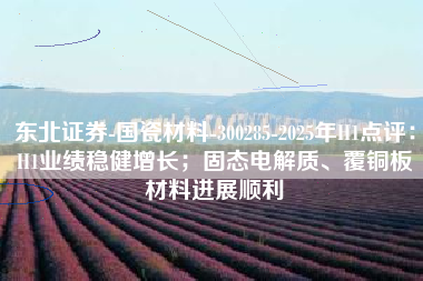 东北证券-国瓷材料-300285-2025年H1点评：H1业绩稳健增长；固态电解质、覆铜板材料进展顺利