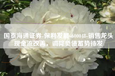 国泰海通证券-保利发展-600048-销售龙头现金流改善，调降负债蓄势待发