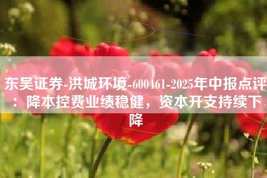 东吴证券-洪城环境-600461-2025年中报点评：降本控费业绩稳健，资本开支持续下降