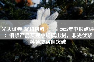 光大证券-聚和材料-688503-2025年中报点评：铜浆产品实现小规模出货，非光伏浆料领域实现突破