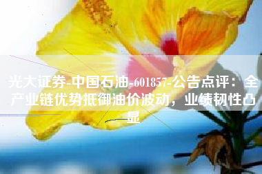 光大证券-中国石油-601857-公告点评:全产业链优势抵御油价波动,业绩韧性凸显 光大证券-中国石油-601857-公告点评:全产业链优势抵御油价波动,业绩韧性凸显