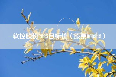 软控股份2025目标价（股票000848）