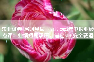 东北证券-启明星辰-002439-2025年中报业绩点评：业绩短期承压，锚定AI+安全赛道