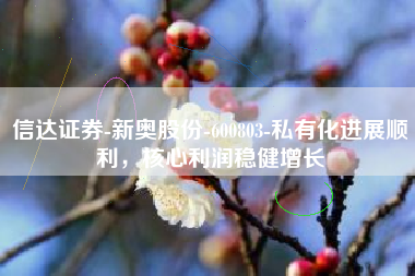 信达证券-新奥股份-600803-私有化进展顺利，核心利润稳健增长