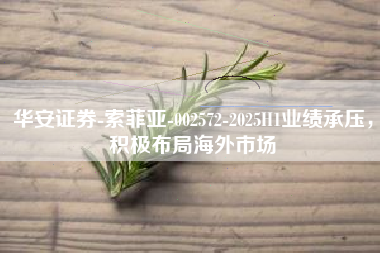华安证券-索菲亚-002572-2025H1业绩承压，积极布局海外市场