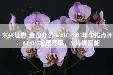 东兴证券-金山办公-688111-2025年中报点评：WPS365增速亮眼，AI持续赋能