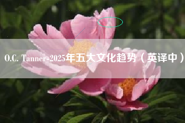 O.C. Tanner-2025年五大文化趋势（英译中）