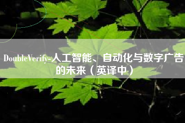 DoubleVerify-人工智能、自动化与数字广告的未来（英译中）