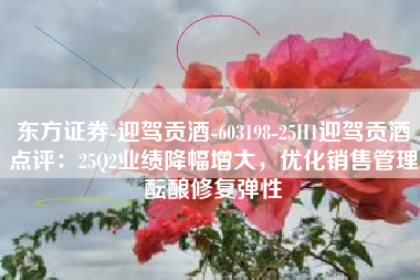 东方证券-迎驾贡酒-603198-25H1迎驾贡酒点评：25Q2业绩降幅增大，优化销售管理酝酿修复弹性