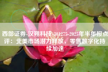 西部证券-汉朔科技-301275-2025年半年报点评：北美市场潜力释放，零售数字化持续加速