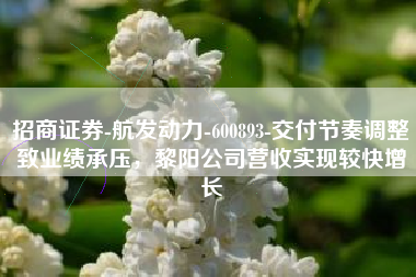 招商证券-航发动力-600893-交付节奏调整致业绩承压，黎阳公司营收实现较快增长