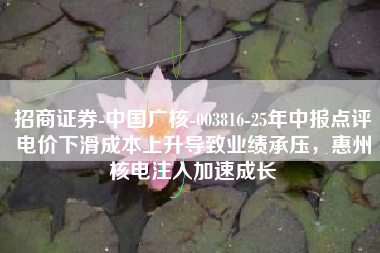 招商证券-中国广核-003816-25年中报点评电价下滑成本上升导致业绩承压,惠州核电注入加速成长 招商证券-中国广核-003816-25年中报点评电价下滑成本上升导致业绩承压,惠州核电注入加速成长