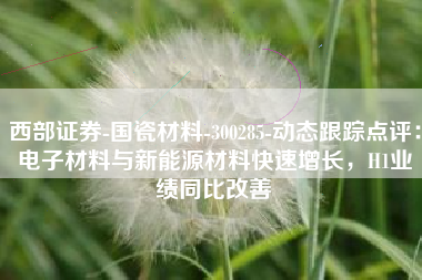 西部证券-国瓷材料-300285-动态跟踪点评：电子材料与新能源材料快速增长，H1业绩同比改善