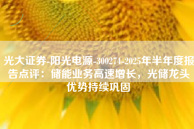光大证券-阳光电源-300274-2025年半年度报告点评：储能业务高速增长，光储龙头优势持续巩固