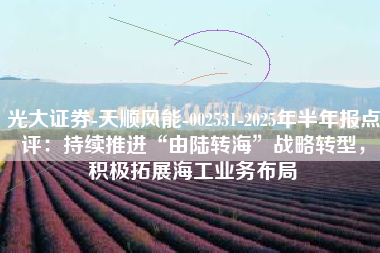 光大证券-天顺风能-002531-2025年半年报点评：持续推进“由陆转海”战略转型，积极拓展海工业务布局