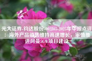 光大证券-钧达股份-002865-2025年中报点评：海外产品销售维持高速增长，审慎推进阿曼5GW项目建设