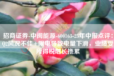 招商证券-中闽能源-600163-25年中报点评：Q2风况不佳+限电导致电量下滑，业绩受所得税增长拖累