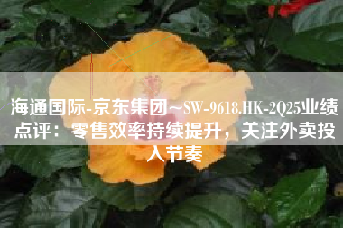 海通国际-京东集团~SW-9618.HK-2Q25业绩点评：零售效率持续提升，关注外卖投入节奏