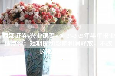 西部证券-兴业银锡-000426-2025年半年报业绩点评：短期扰动影响利润释放，不改长期向好趋势