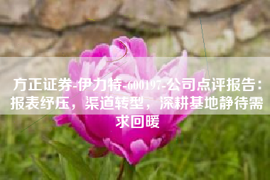 方正证券-伊力特-600197-公司点评报告：报表纾压，渠道转型，深耕基地静待需求回暖