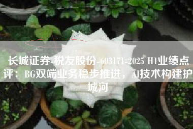 长城证券-税友股份-603171-2025 H1业绩点评：BG双端业务稳步推进，AI技术构建护城河