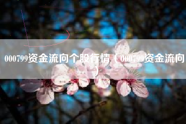 000799资金流向个股行情（000799资金流向）