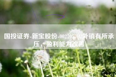 国投证券-新宝股份-002705-Q2外销有所承压，盈利能力改善