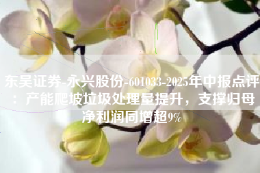 东吴证券-永兴股份-601033-2025年中报点评：产能爬坡垃圾处理量提升，支撑归母净利润同增超9%