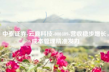中泰证券-云鼎科技-000409-营收稳步增长，成本管理精准发力