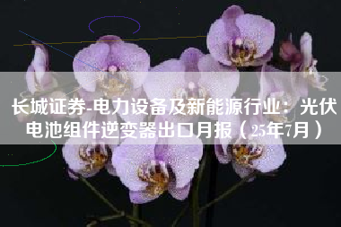 长城证券-电力设备及新能源行业：光伏电池组件逆变器出口月报（25年7月）