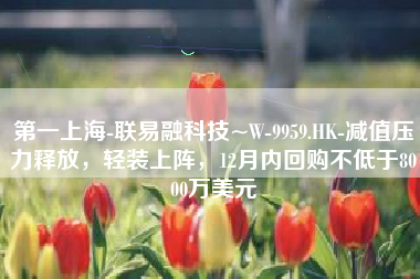 第一上海-联易融科技~W-9959.HK-减值压力释放，轻装上阵，12月内回购不低于8000万美元