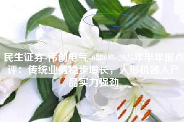 民生证券-伟创电气-688698-2025年半年报点评：传统业务稳步增长，人形机器人产品实力强劲