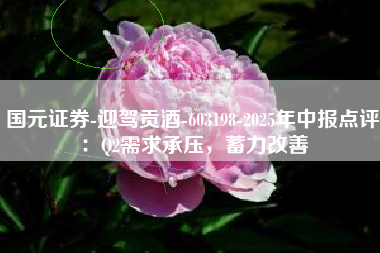 国元证券-迎驾贡酒-603198-2025年中报点评：Q2需求承压，蓄力改善