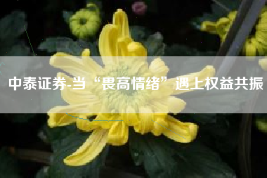中泰证券-当“畏高情绪”遇上权益共振