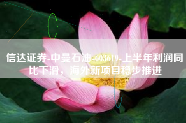 信达证券-中曼石油-603619-上半年利润同比下滑，海外新项目稳步推进