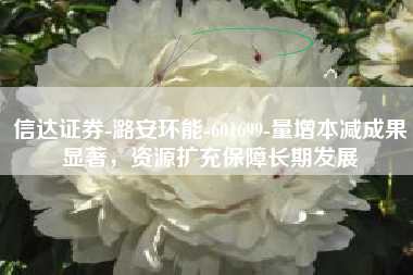 信达证券-潞安环能-601699-量增本减成果显著，资源扩充保障长期发展